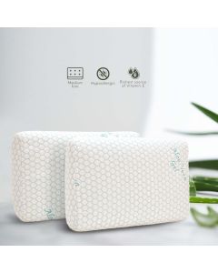 Aloe Vera Pillow - La Casa