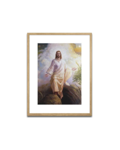 Picture Frame 50x64 cm