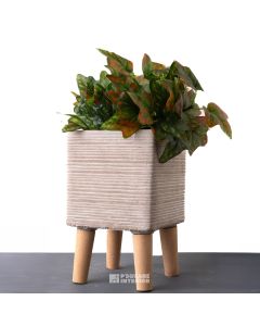 Square Pot with Legs