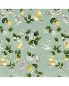 Liviano-Lemoncello-Tranquil- Fantasia