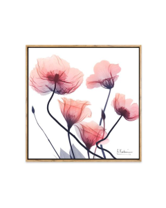 Picture Frame 60 x60 cm