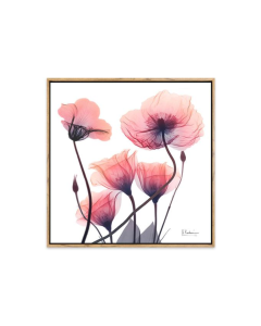 Picture Frame 60 x60 cm