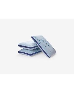 Latex Plus Regular Pillow - Sleepwell