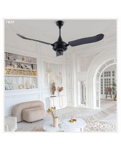 Troy Matte Black- 56″ Classical fan with 3x Mild Steel Blades in Matte Black finish, Whisper-Quiet Technology